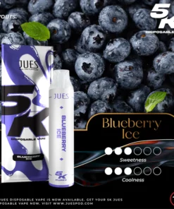 jues 5000 puff blueberry ice