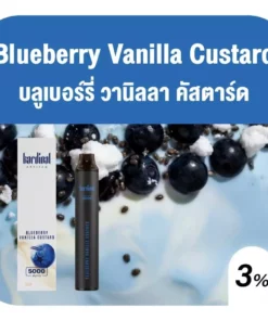 kardinal Artisan 5000 Puffs Blueberry Vanilla Custard (บลูเบอรี่ วานิลลาคัสตาร์ด)