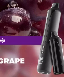 Ks Quik Pro 15000 Puff Grape starter Kit