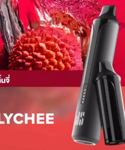 Ks Quik Pro 15000 Puff Lychee starter Kit